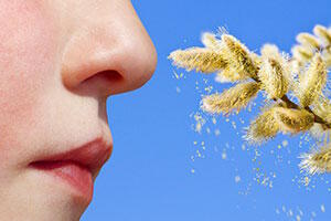 Seizoensgebonden allergieën