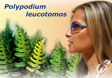 Polypodium leucotomos