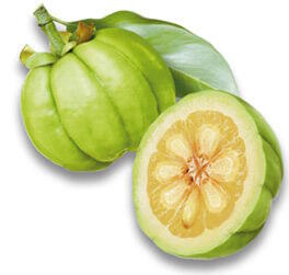 garcinia