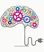 Cerveau Cerveau