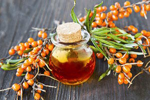 Sea buckthorn