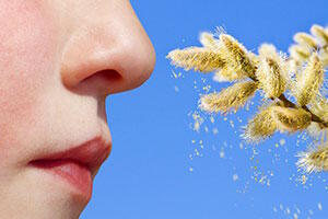 Allergies saisonnières Allergies saisonnières