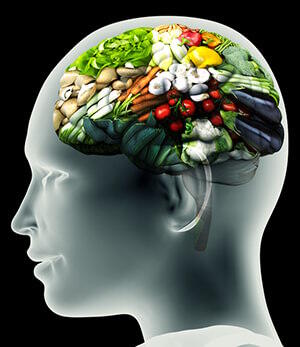 nutrition brain