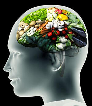 nutricao cerebro