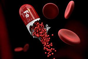 Fer Cardiovasculaire Fer Cardiovasculaire