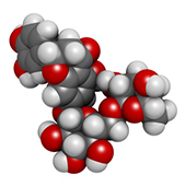 hesperidin