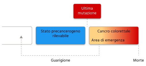 Cancer Colon