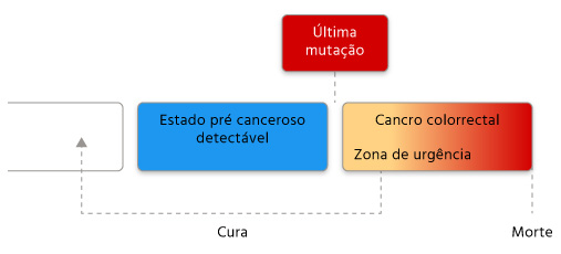 Cancer Colon