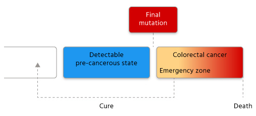 Cancer Colon