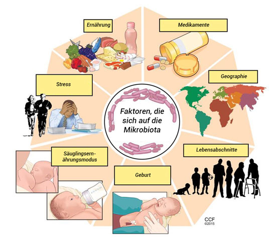Faktoren, die sich auf die Mikrobiota auswirken 