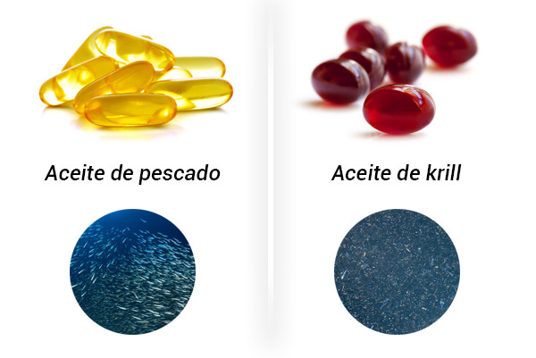 Aceite de krill o aceite de pescado: ¿cuál es la mejor fuente de omega 3? -  Omega 3 - Nutranews