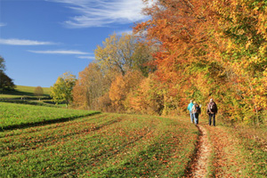 Fotografia di una passeggiata in mezzo alla natura