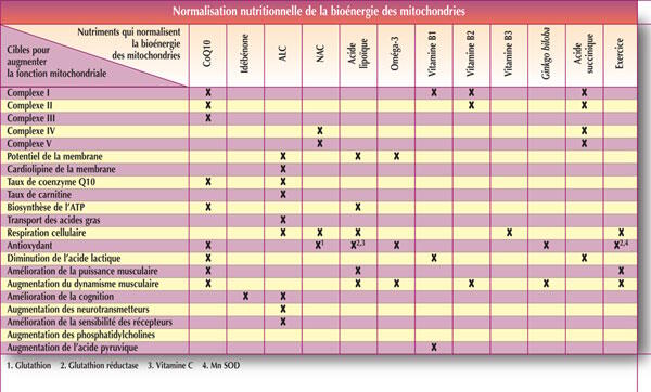 nutriments mitochondries