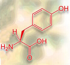 L-Tyrosine