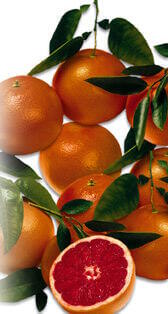 oranges sanguines