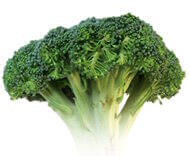 sulforaphane