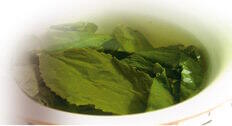 Thé Vert