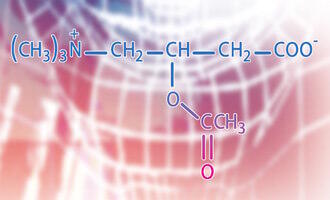 actey l lcarnitine