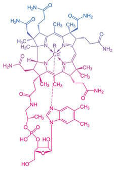 Cobalamine